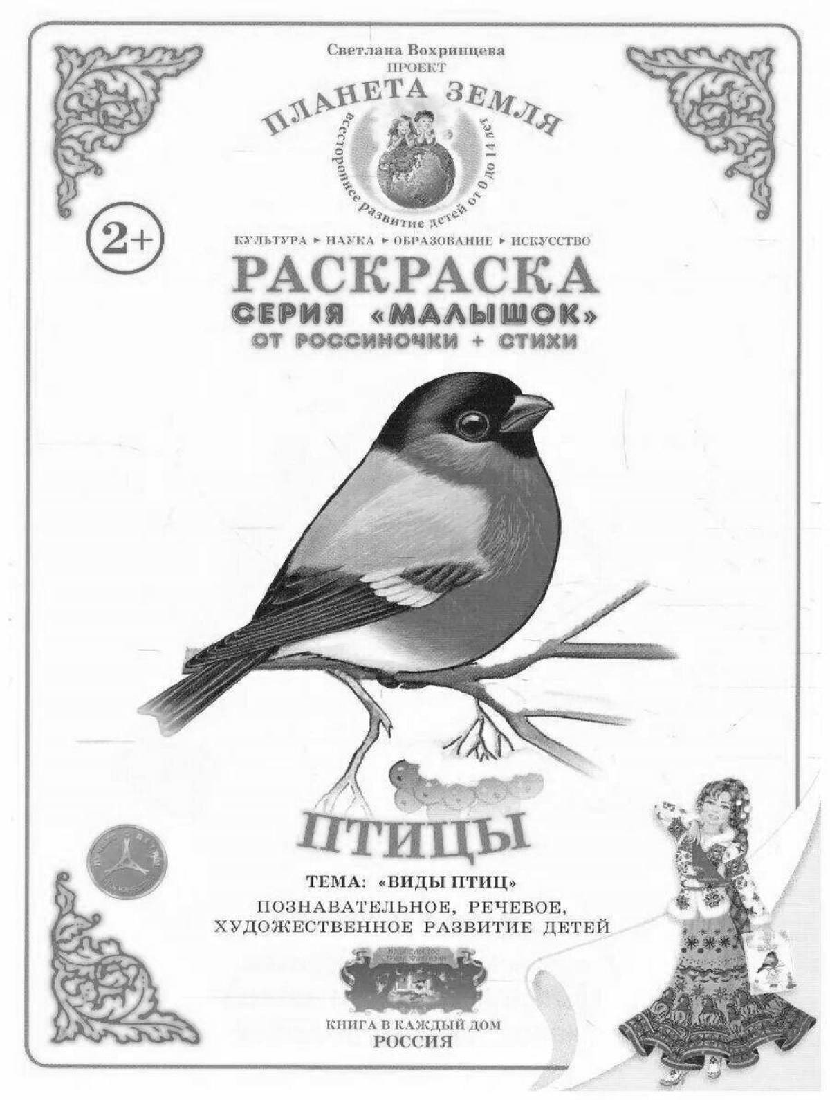 Coloring bright vogrintseva