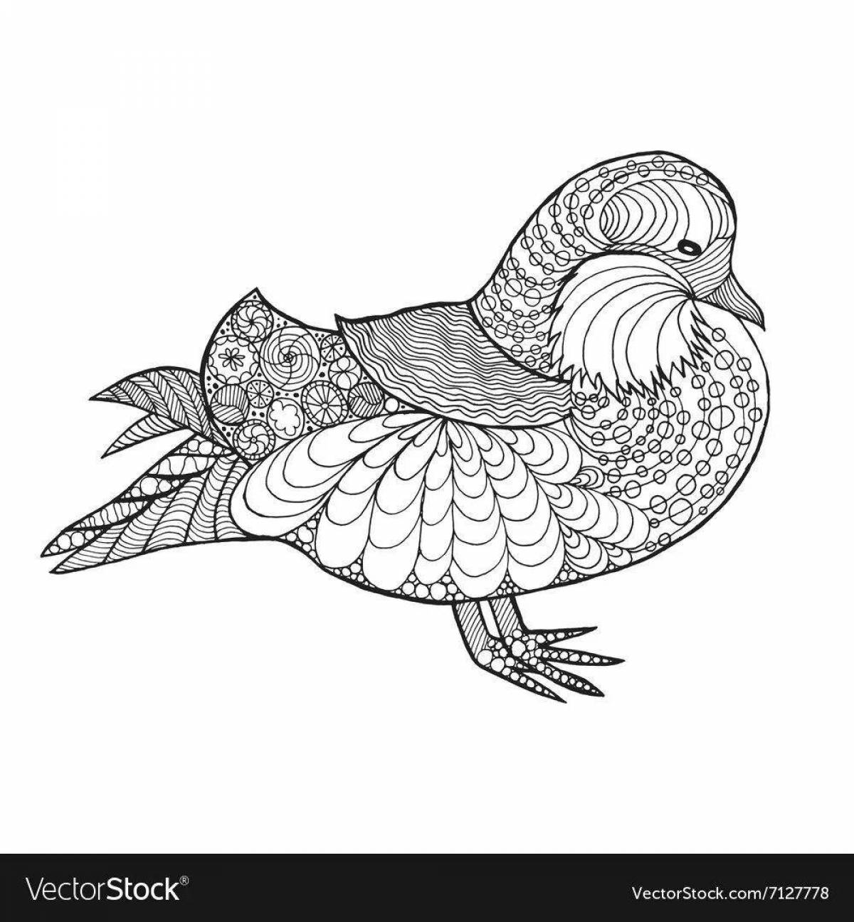 Attractive mandarin bird coloring page