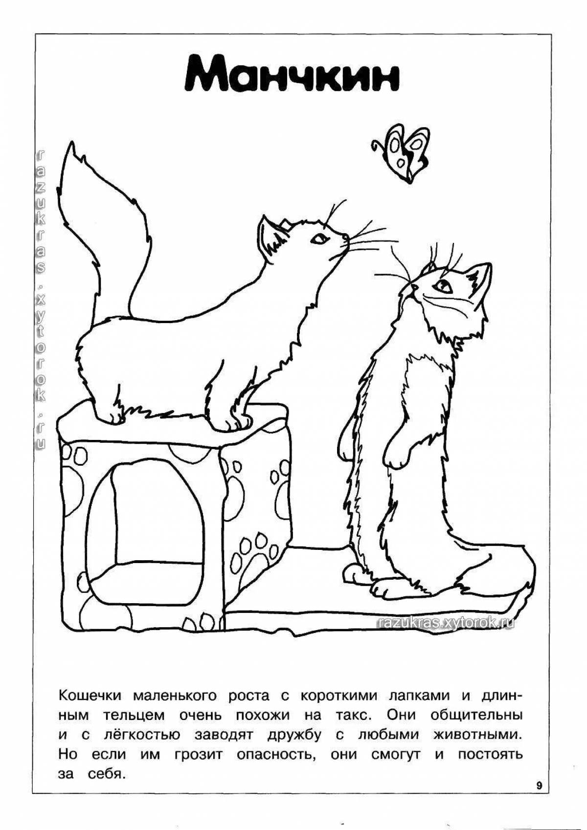 Adorable cat breed coloring book