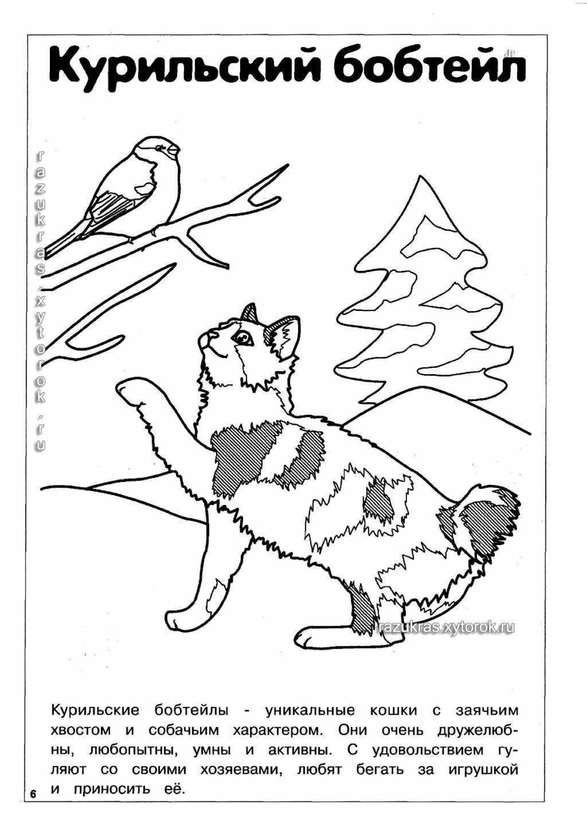 Playful cat breed coloring book