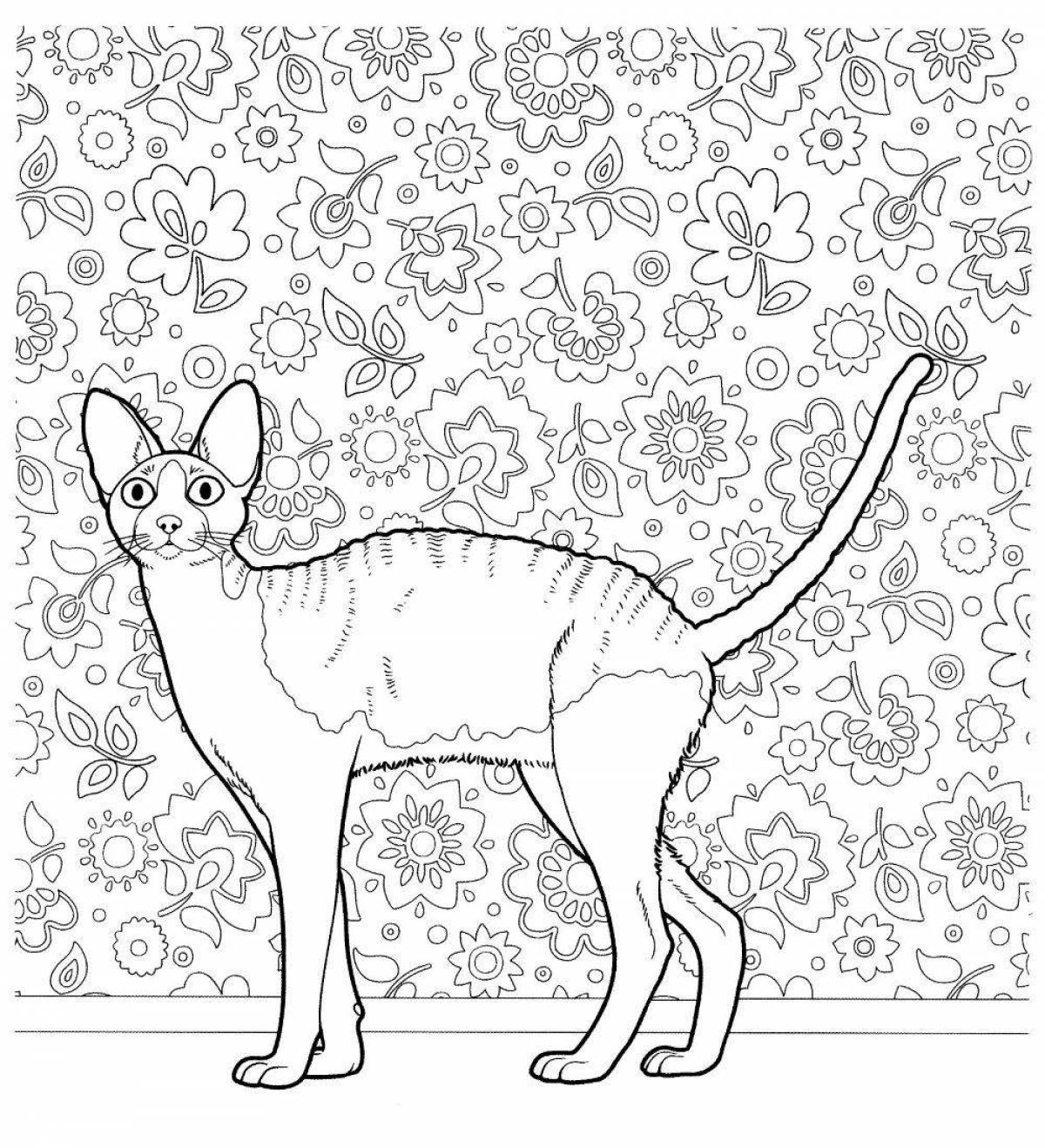 Cute coloring pages of cat breeds