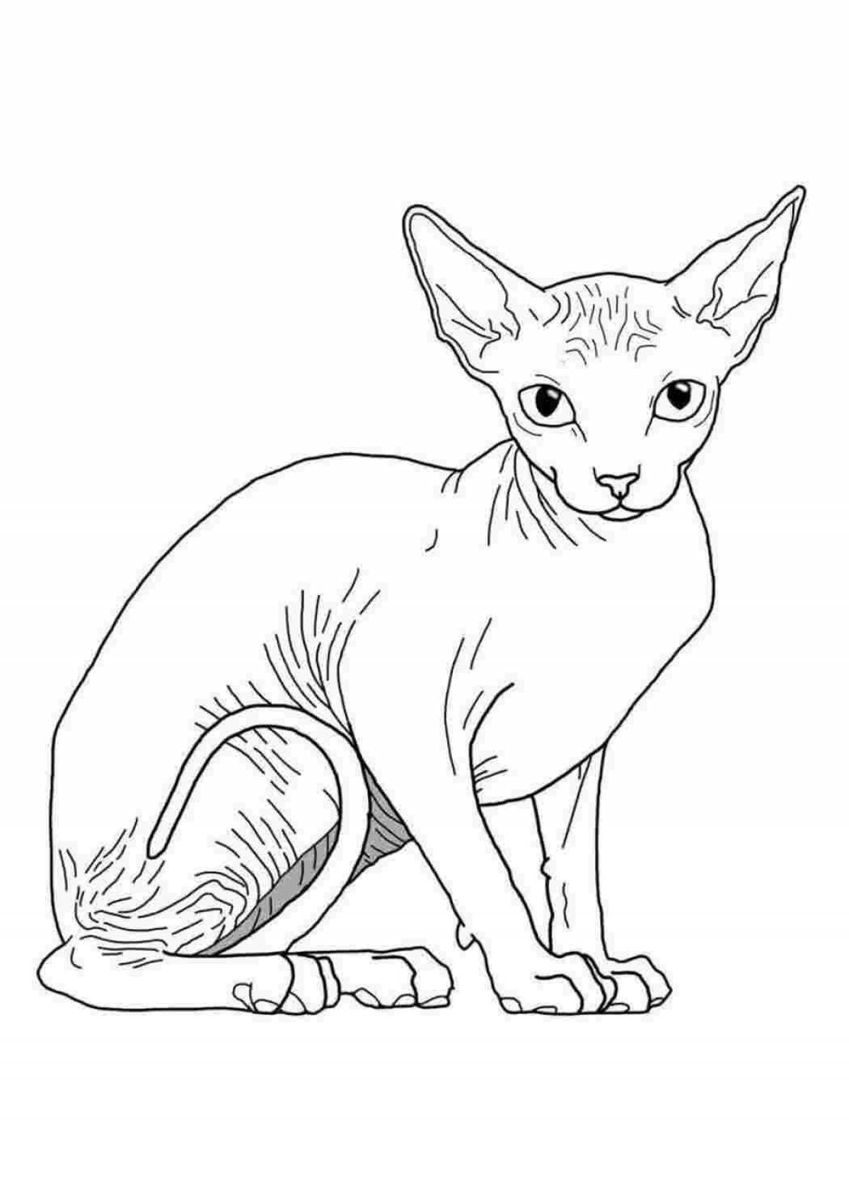 Unique coloring pages of cat breeds