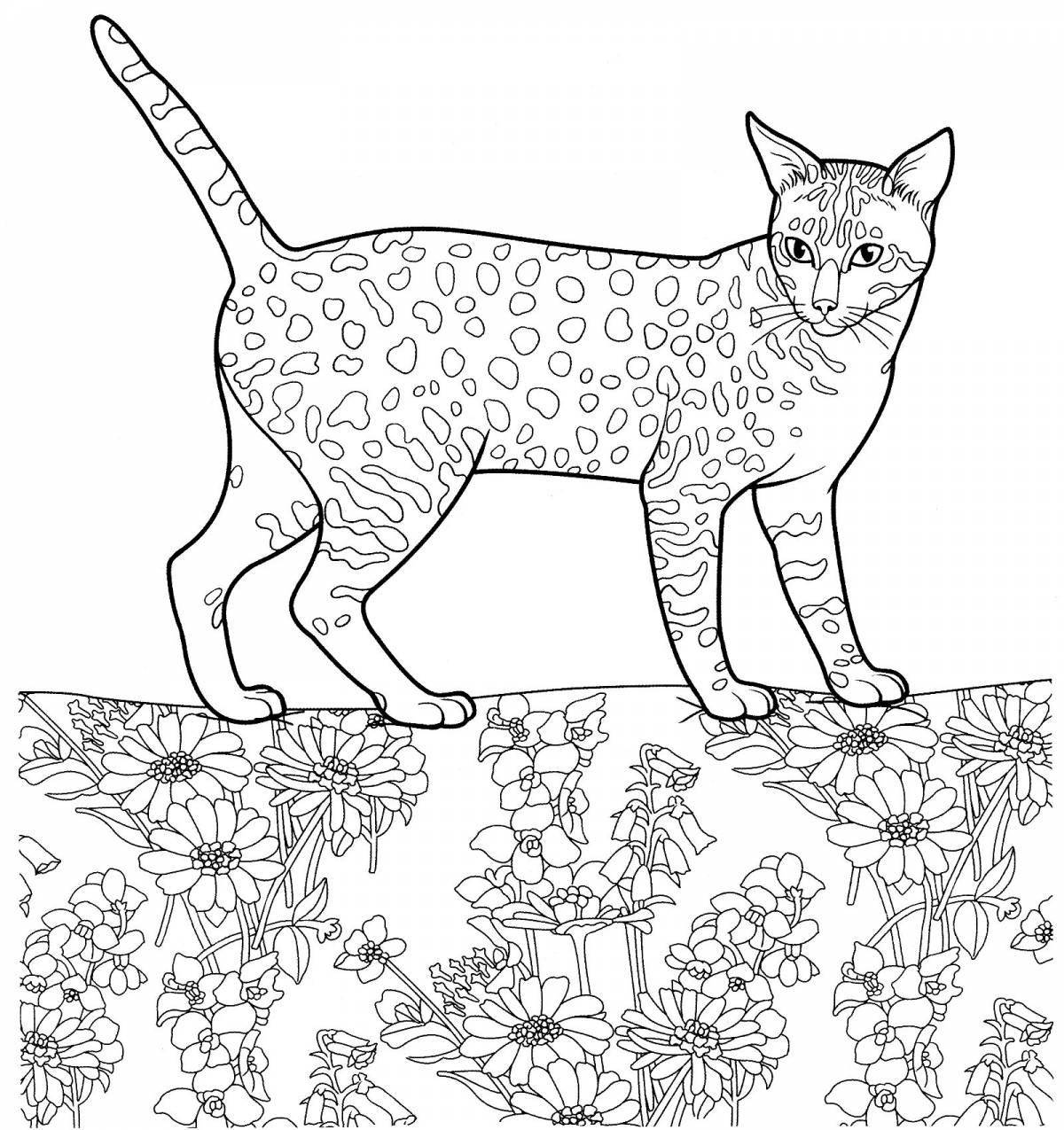 Exquisite cat breed coloring book