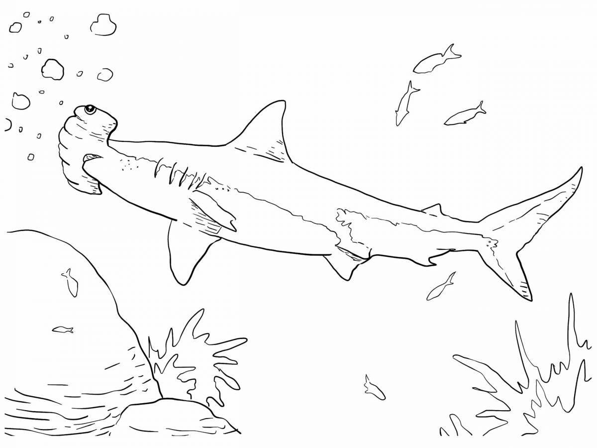 Dazzling hammerhead coloring page