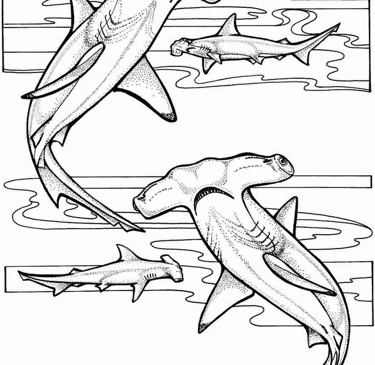 Adorable hammerhead coloring page
