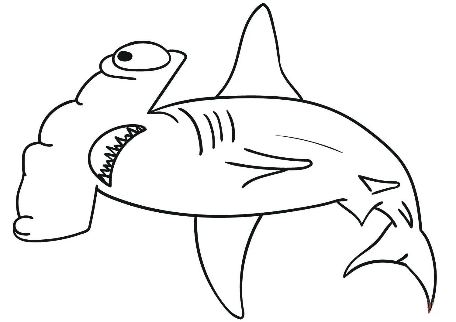Glimmering hammerhead coloring page