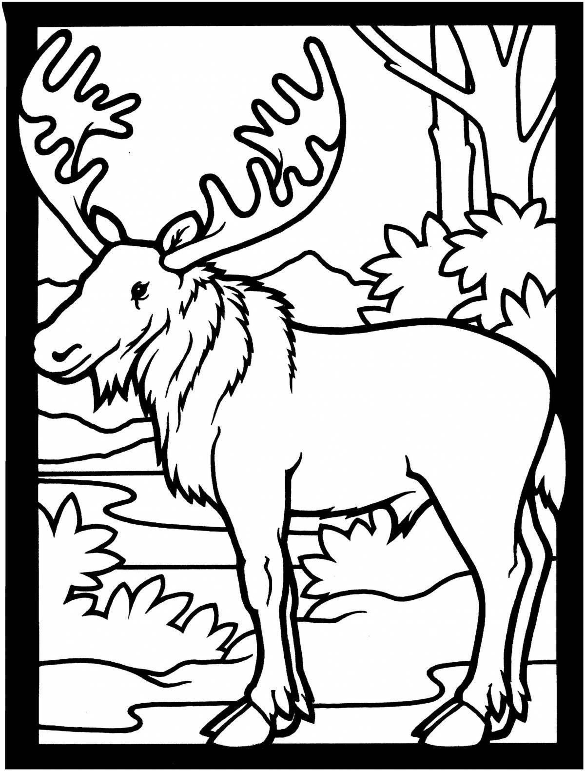 Exotic coloring pages taiga animals