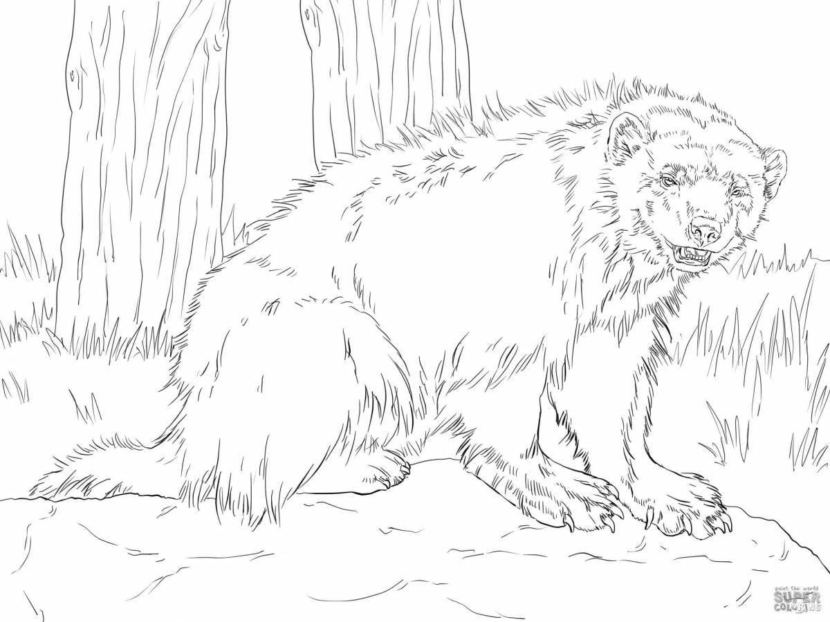 Tempting coloring taiga animals