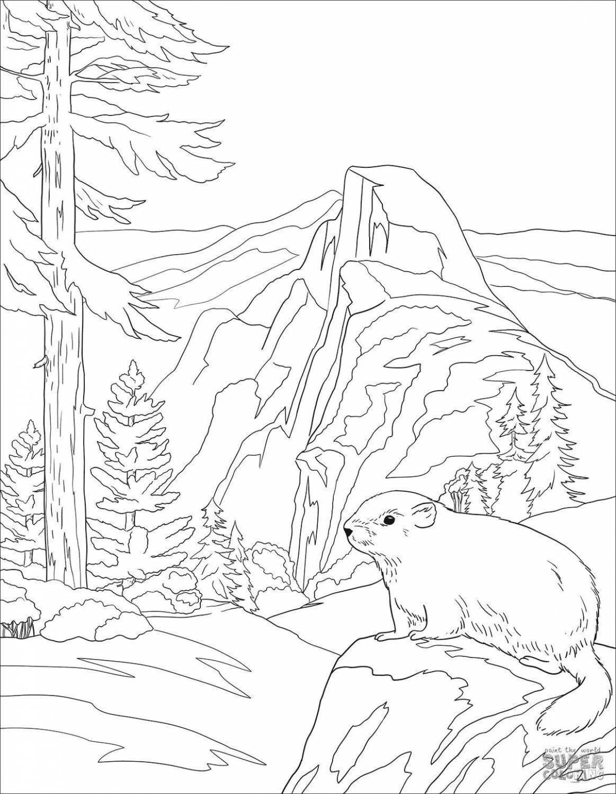 Delightful coloring pages of taiga animals