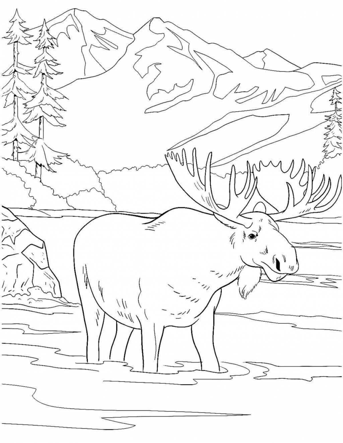 Fine coloring pages of taiga animals
