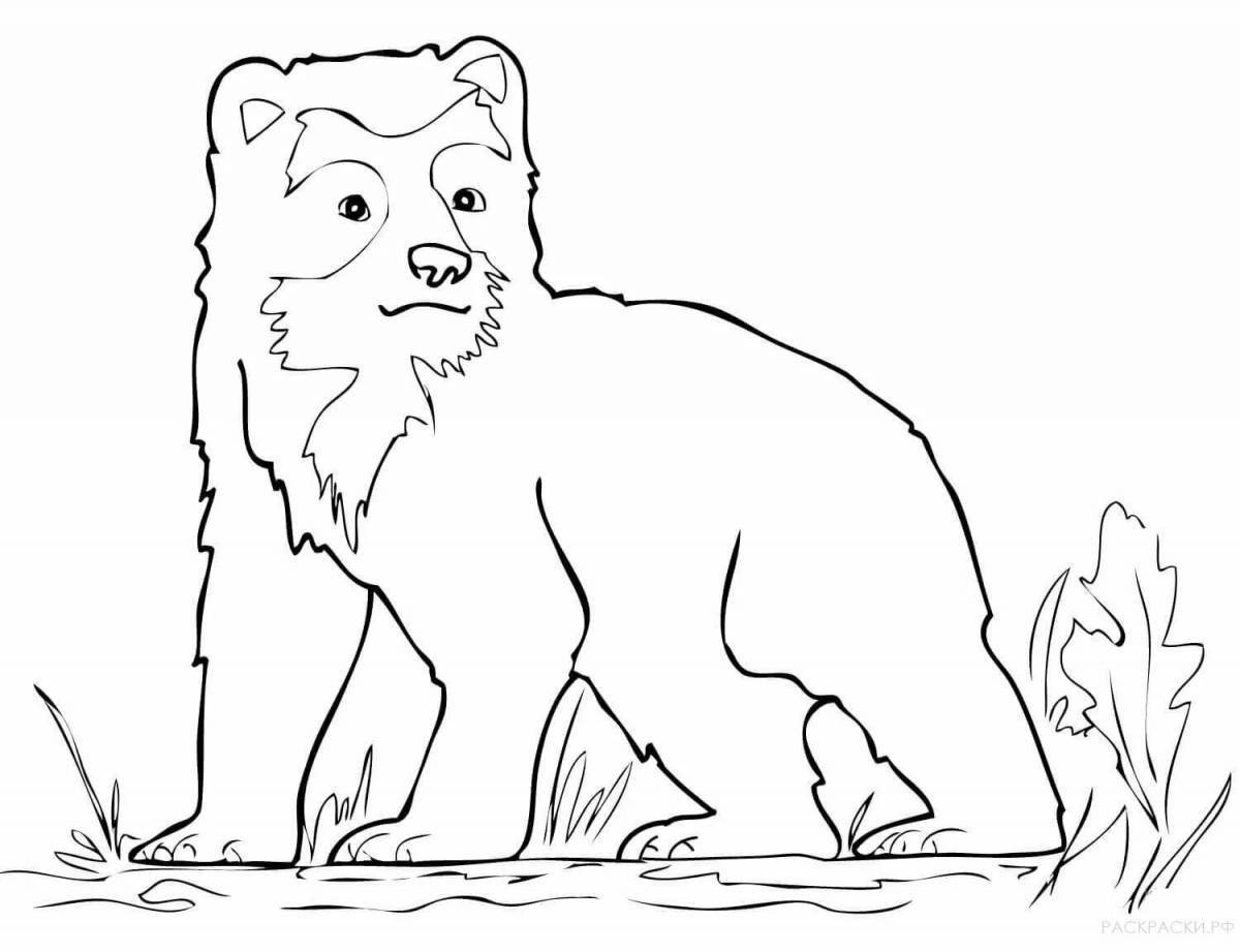 Coloring page serendipitous animals of the taiga