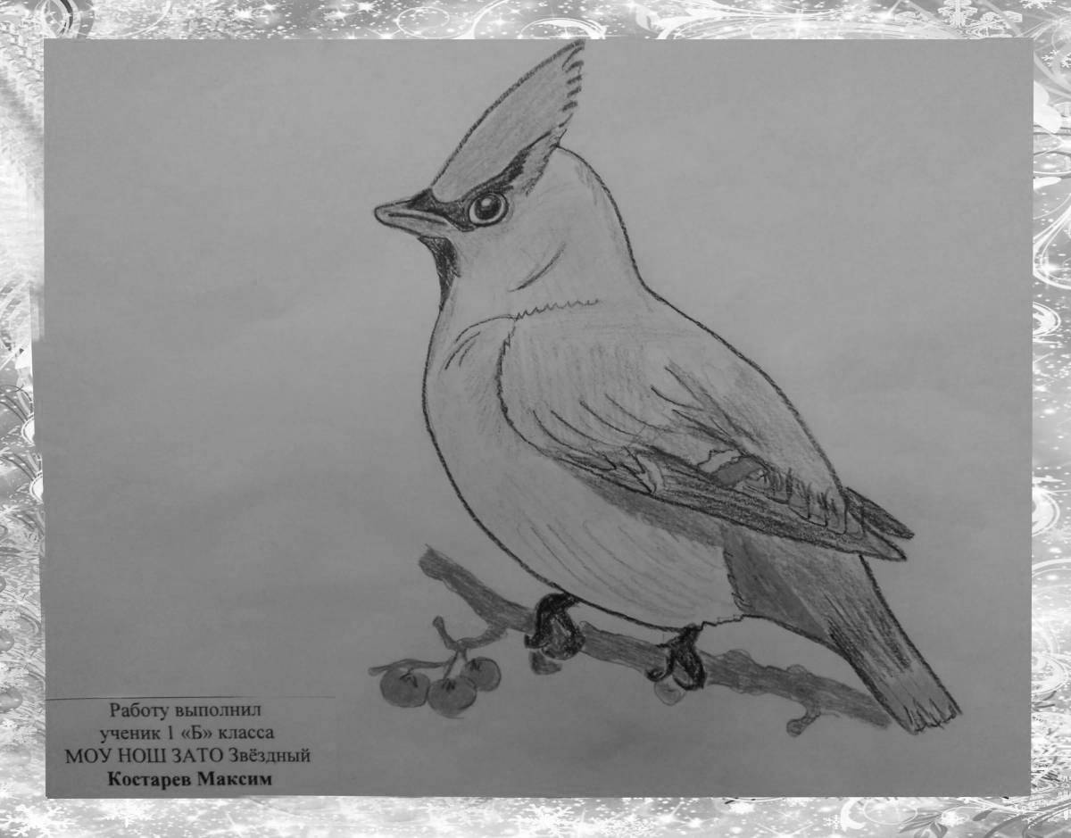 Vibrant waxwing coloring page