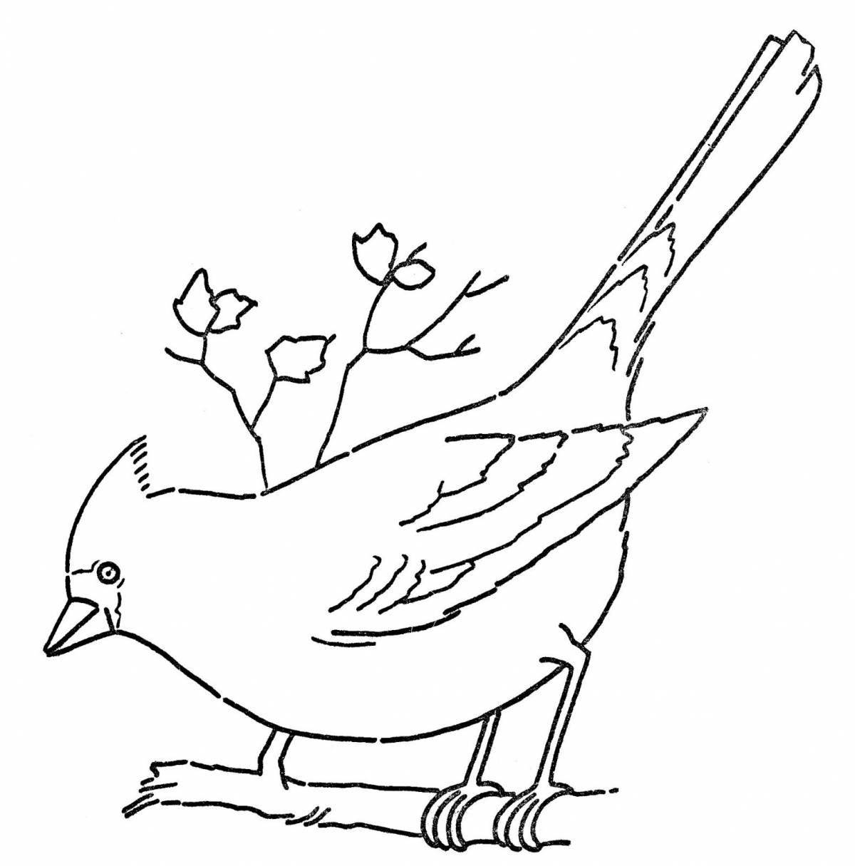 Coloring book shining waxwing