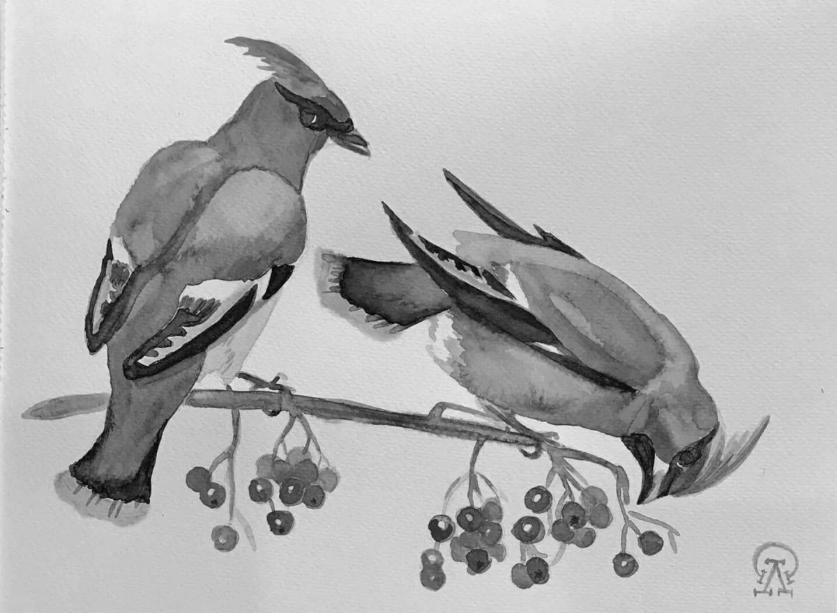 Glowing waxwing coloring page