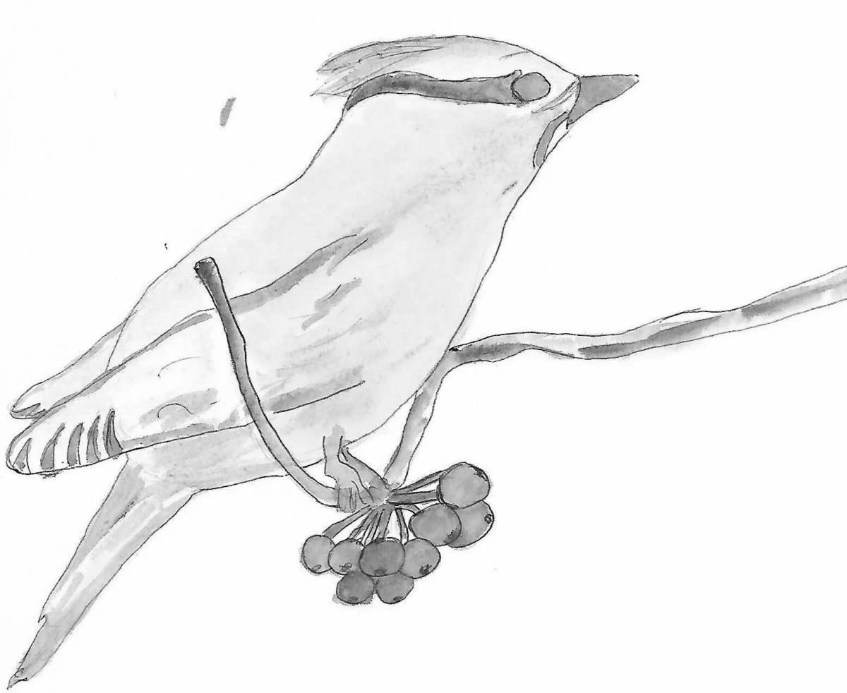 Coloring page dazzling waxwing