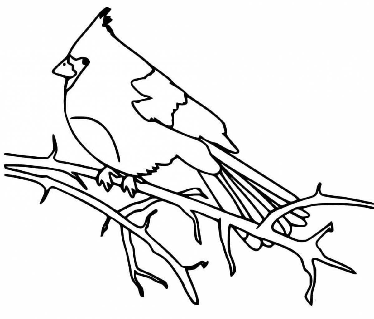 Exquisite waxwing coloring book
