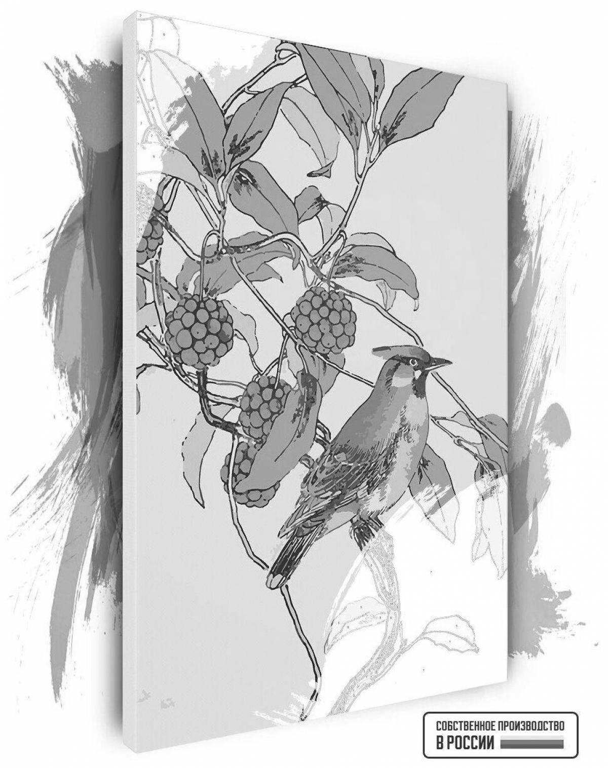 Coloring waxwing with brilliant shades