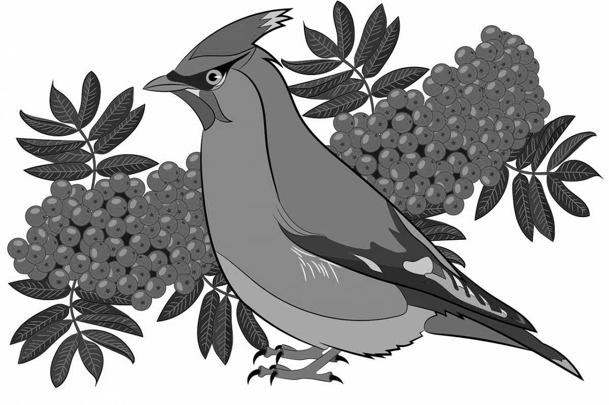 Flawless waxwing coloring page