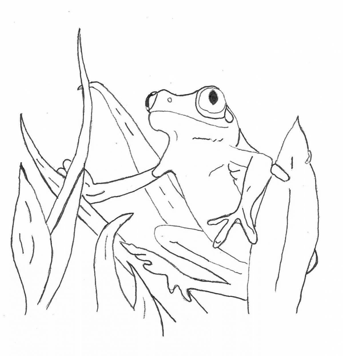 Coloring page happy frog