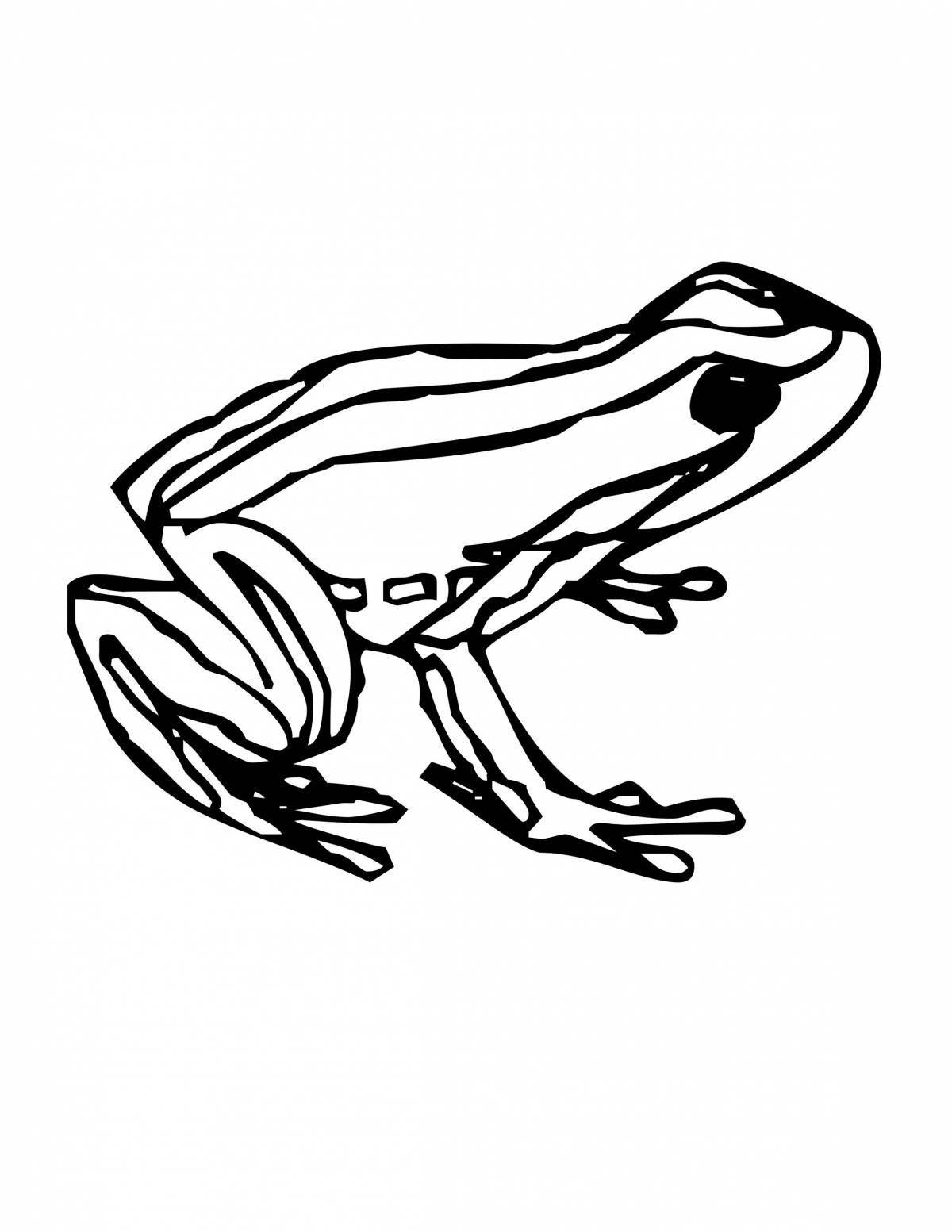 Раскраска яркая лягушка