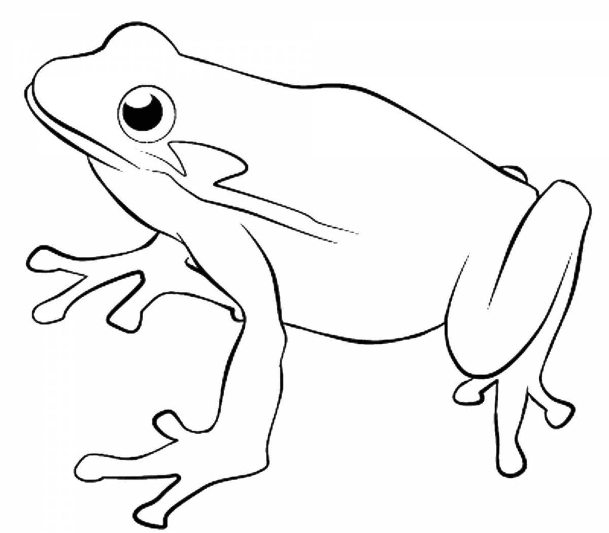 Charming frog coloring page