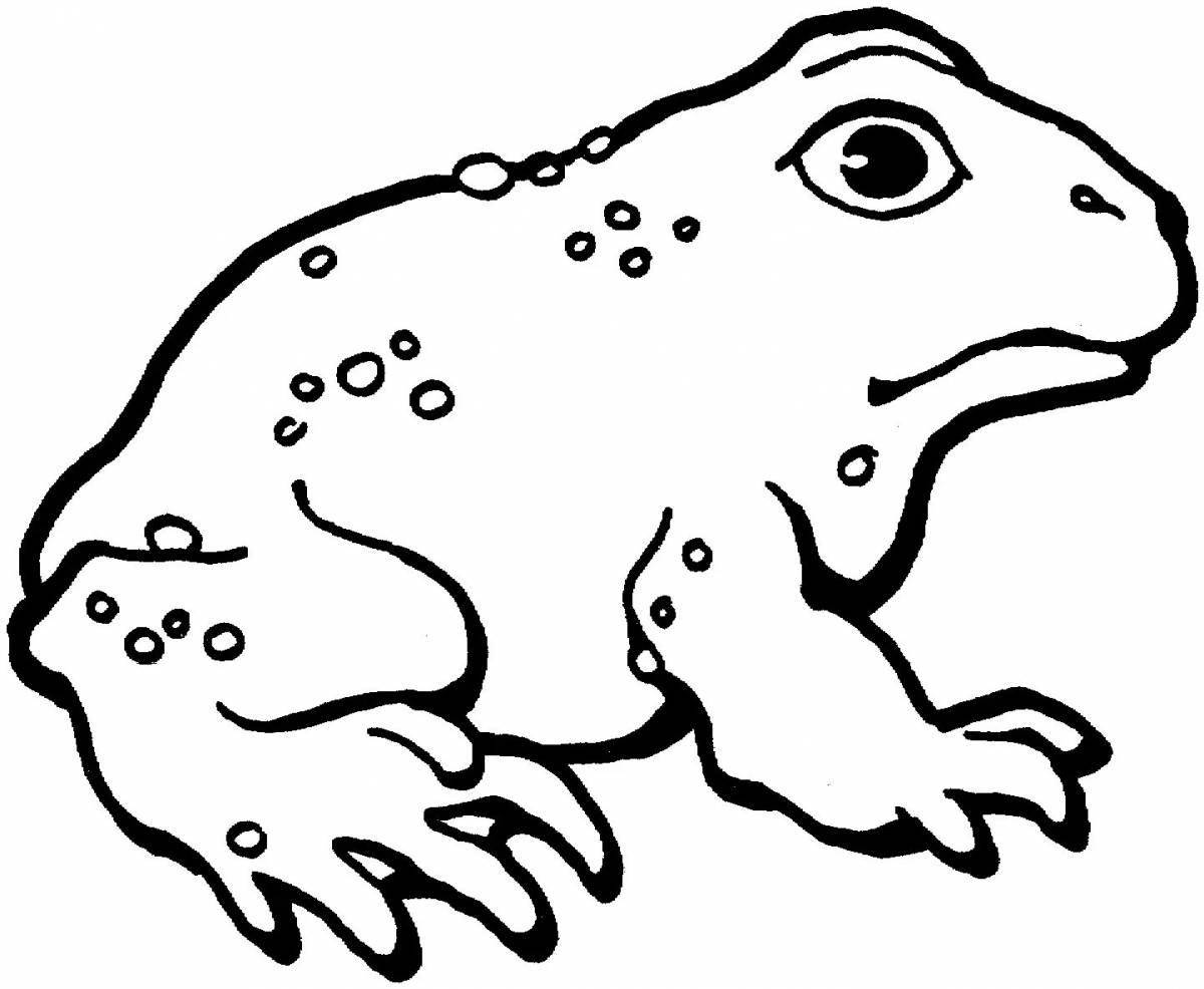 Coloring book shining frog