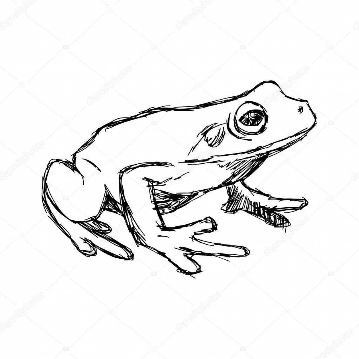 Luminous frog coloring page