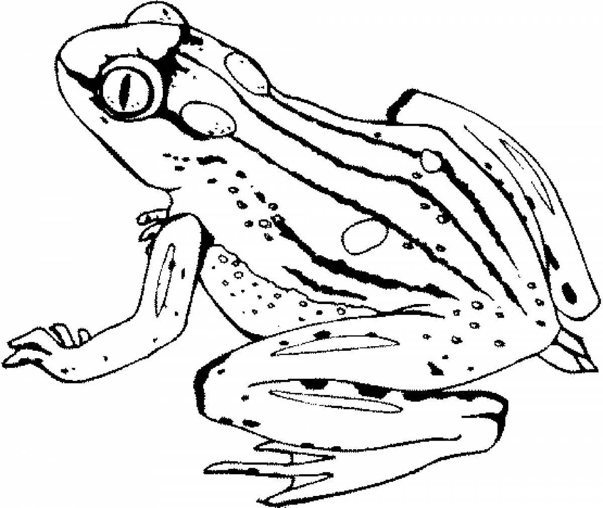 Flowering frog coloring page