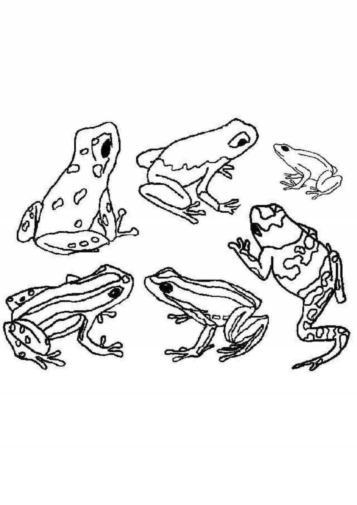 Frog live coloring