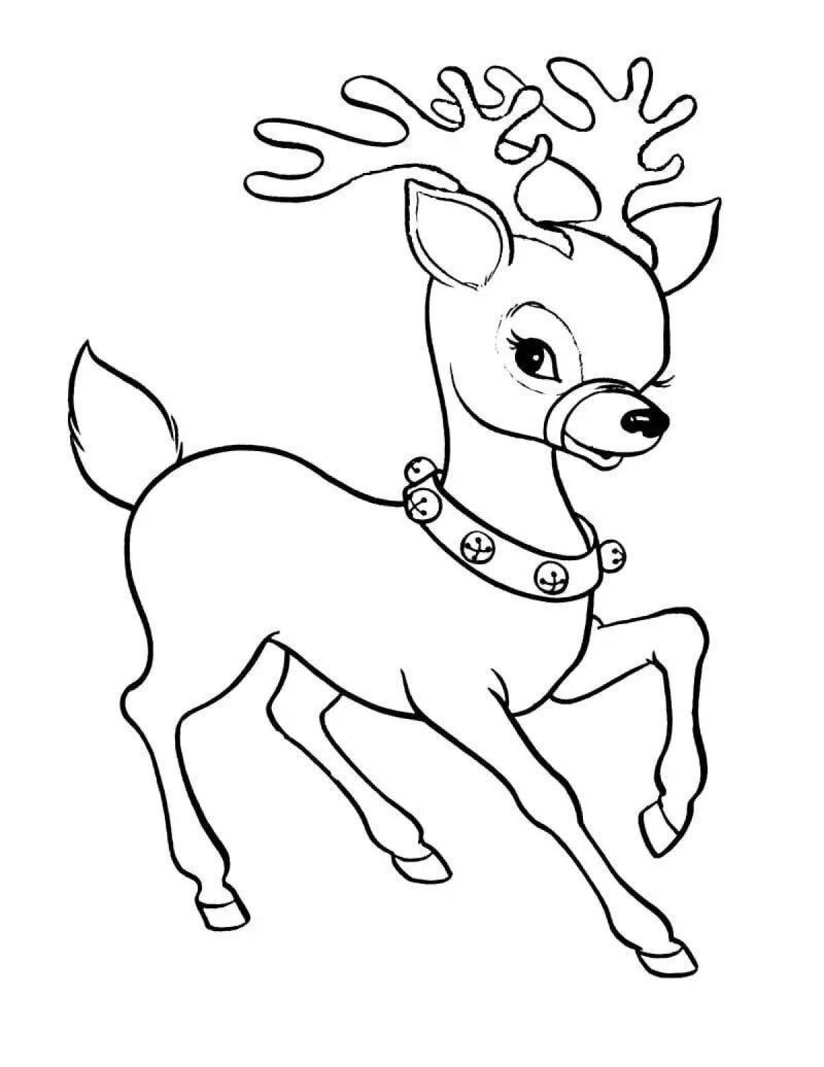 Zani coloring deer