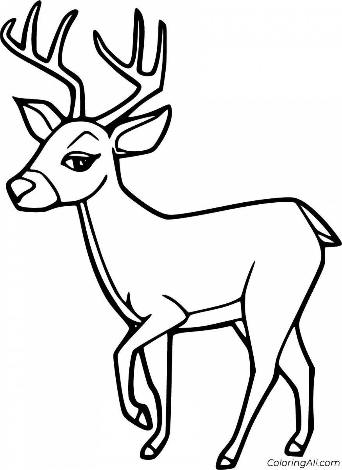 Deer cute #1