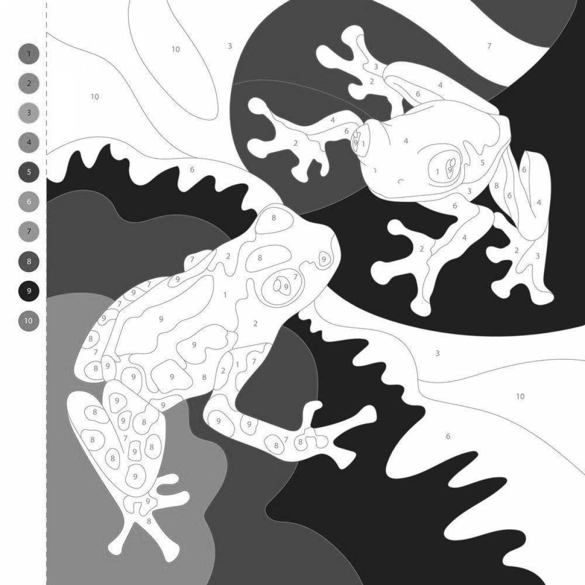 Photo Fun color quest