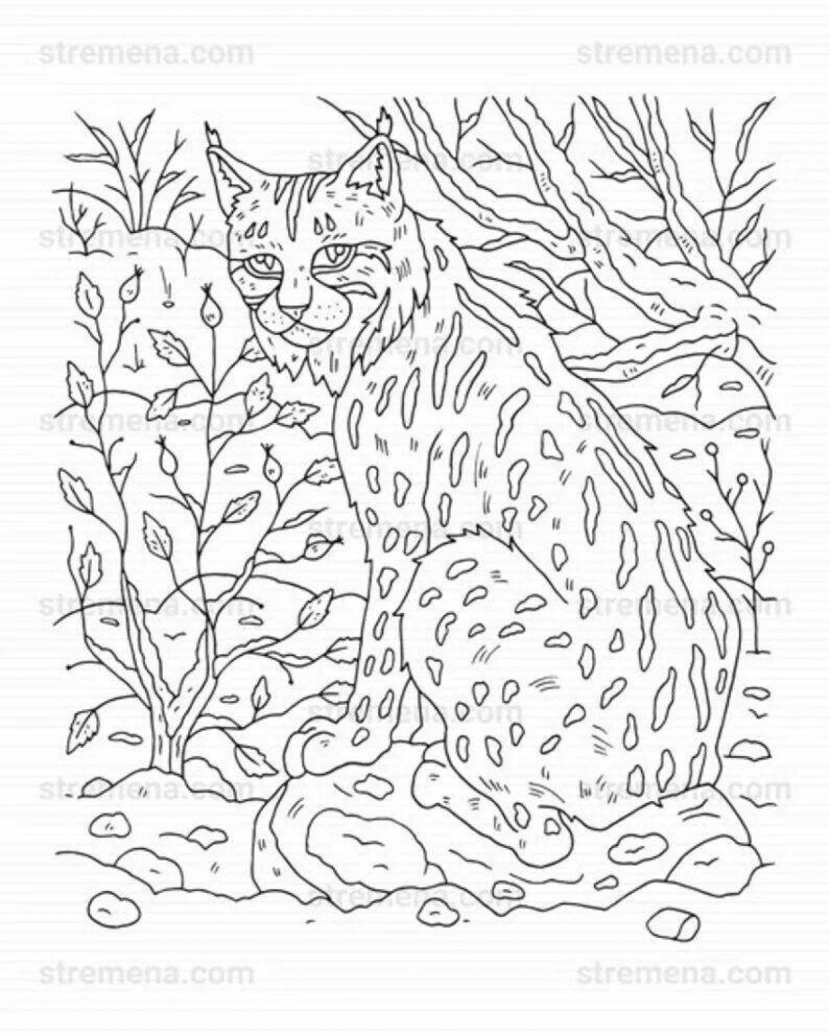 A wonderful coloring antistress lynx
