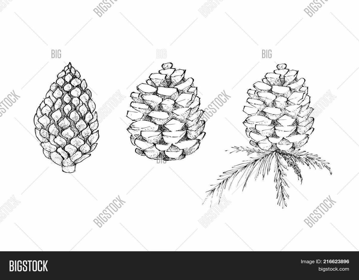 Photo Coloring page joyful coniferous plants