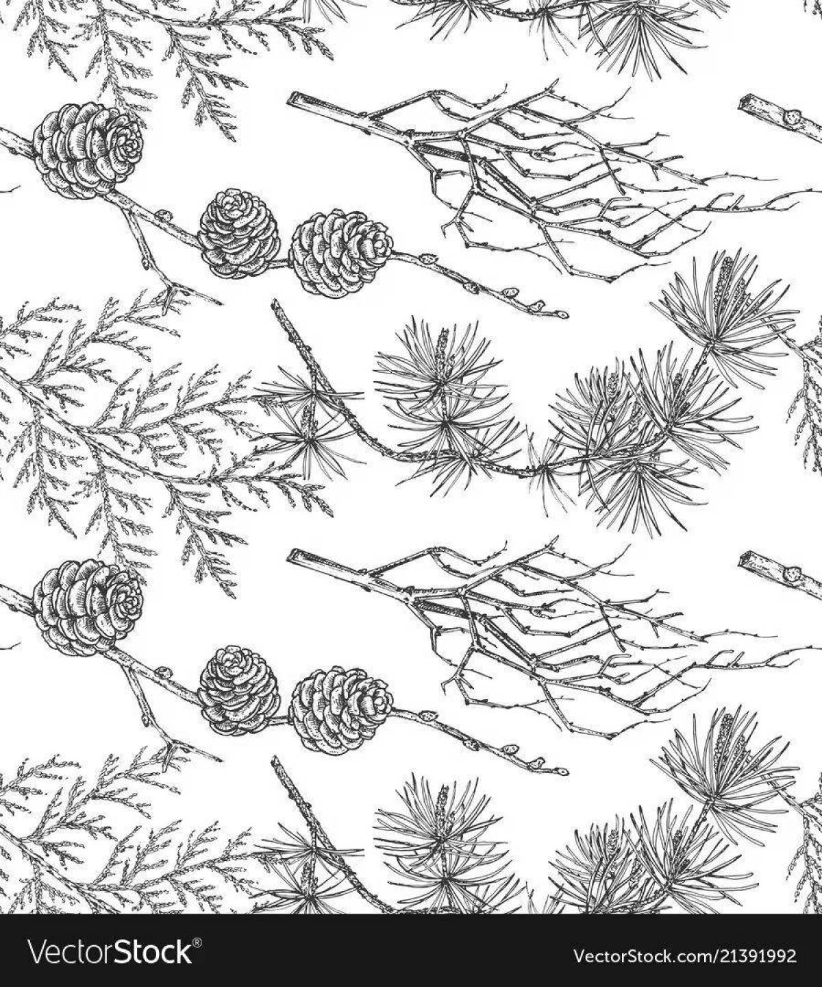 Coloring playful coniferous plants