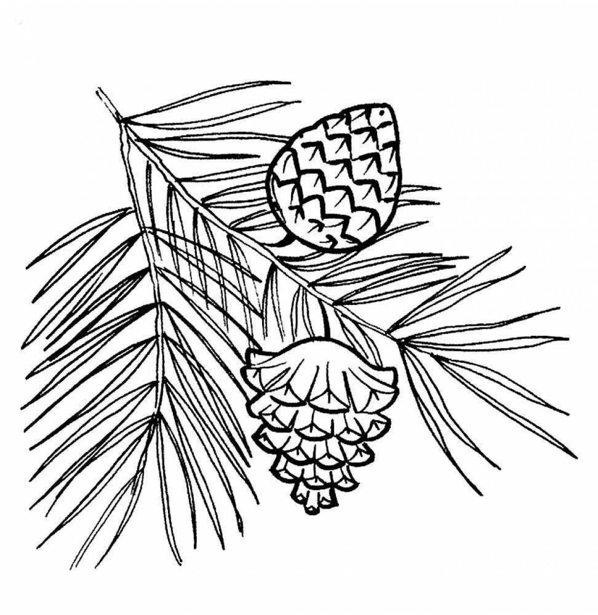 Large coniferous plants coloring page