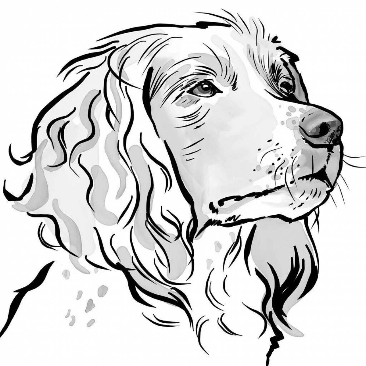 Coloring page graceful spaniel