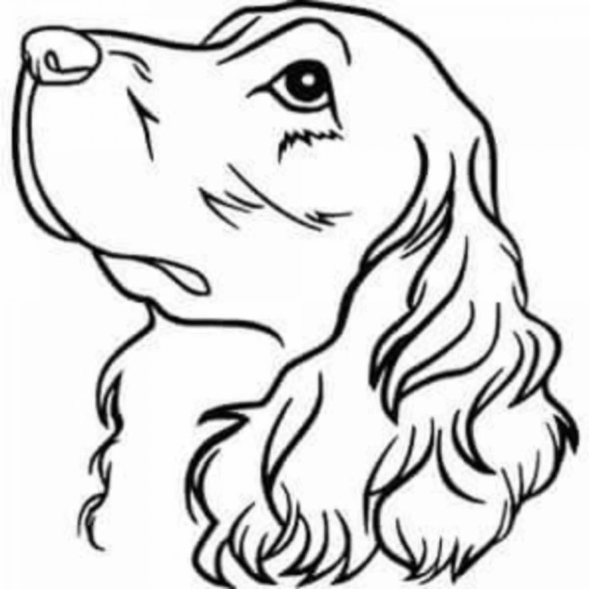 Раскраска яркая собака-спаниель
