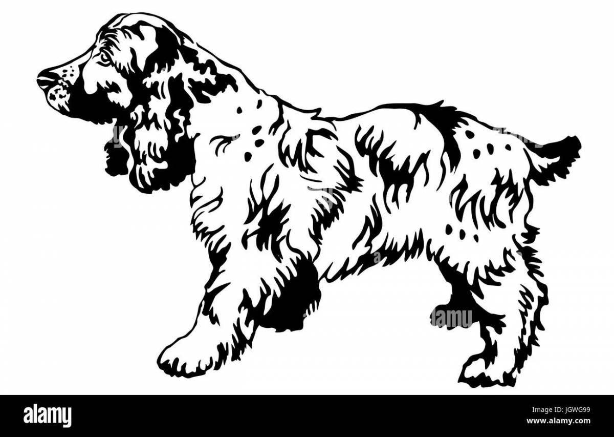Раскраска анимированная собака-спаниель