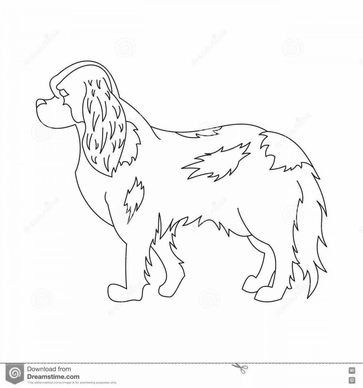 Wiggly spaniel coloring page