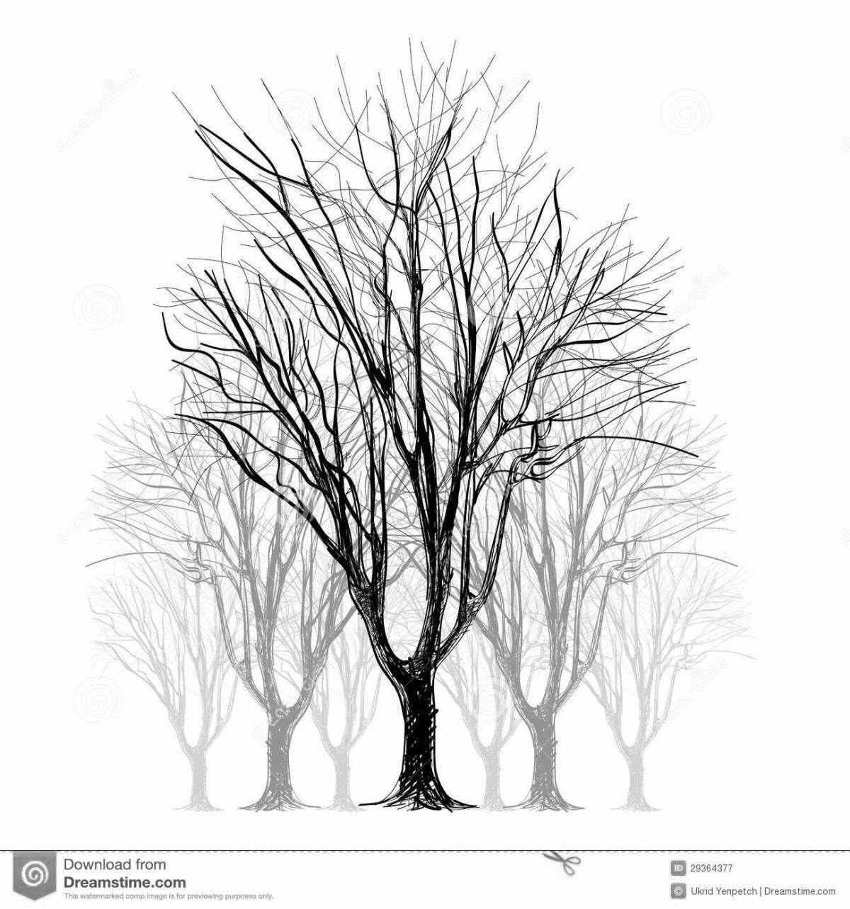 Изысканная страница раскраски голого дерева