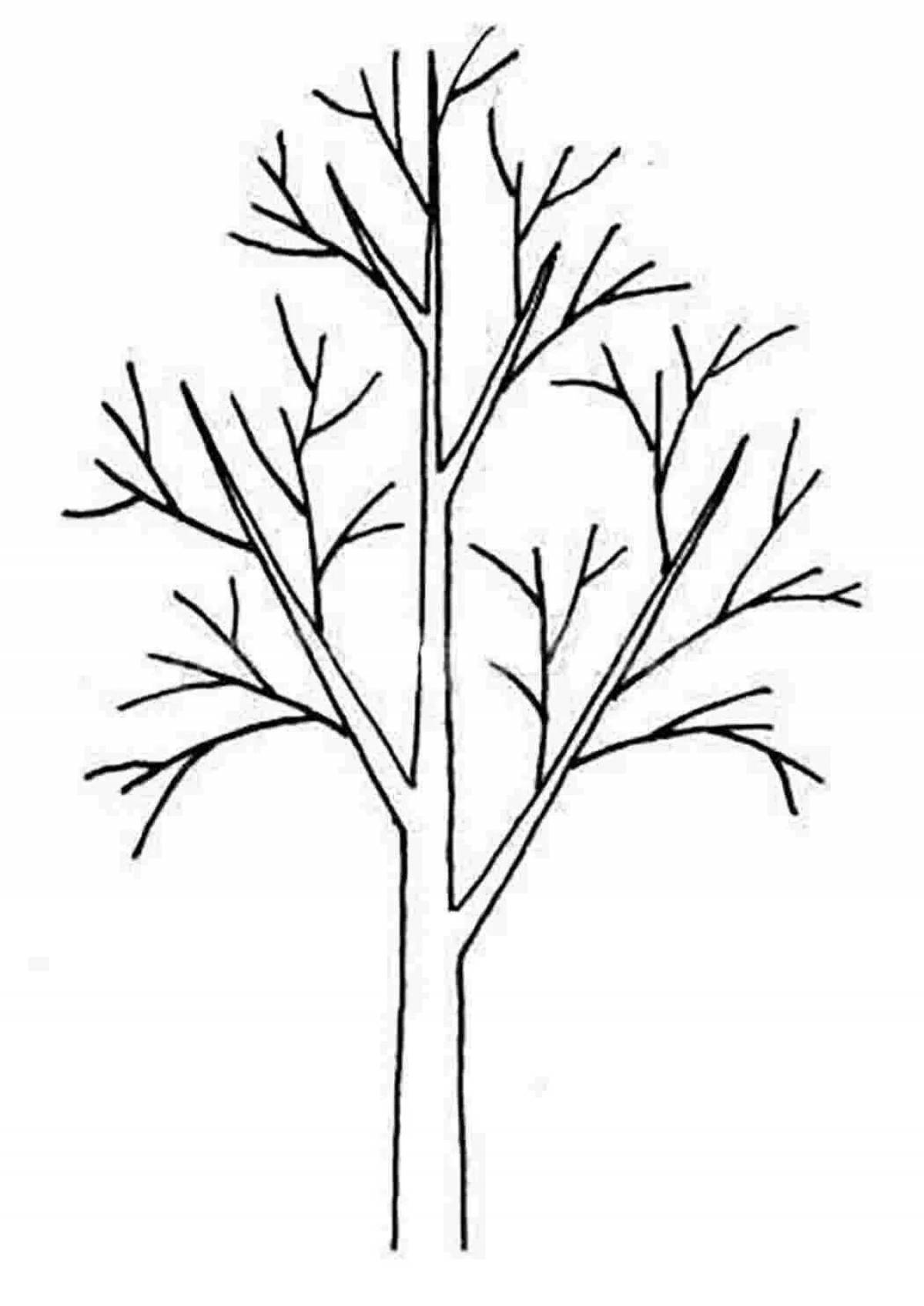 Раскраска элегантное голое дерево
