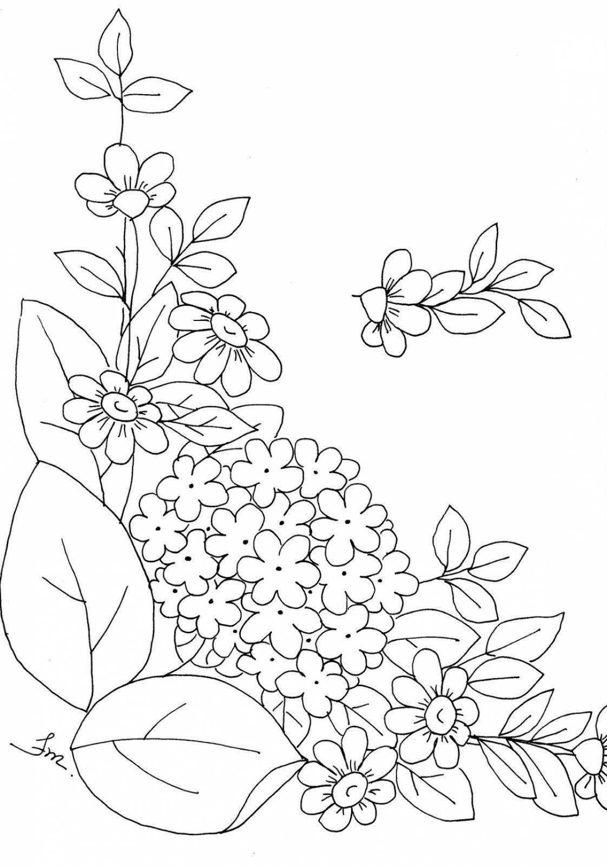 Exquisite lilac branch coloring book