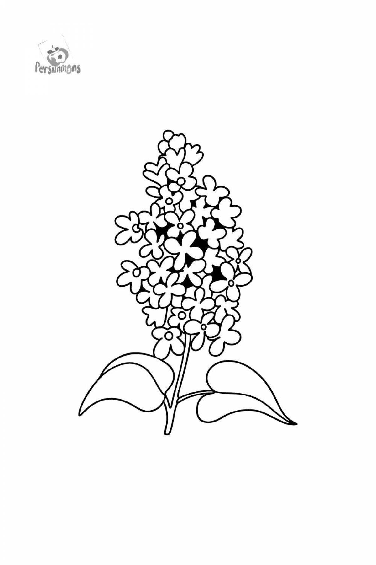 Coloring page elegant lilac branch