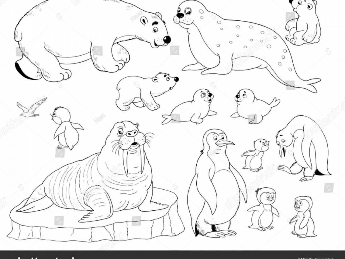 Colourful northern animals coloring pages for kids