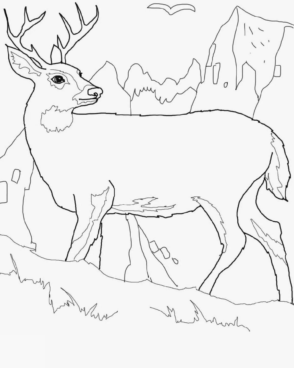 Cute northern animals coloring pages for kids