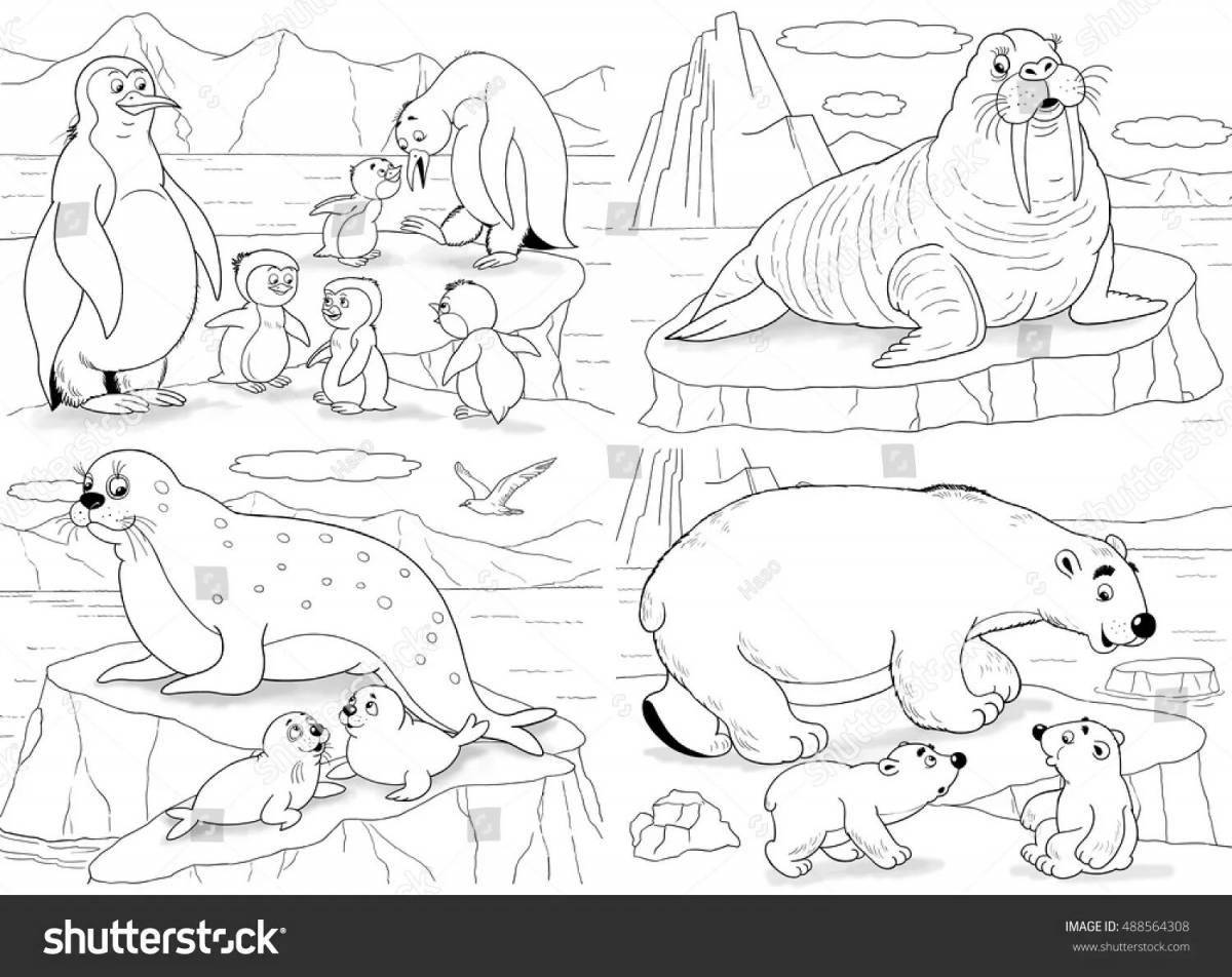 Northern animals coloring pages for kids