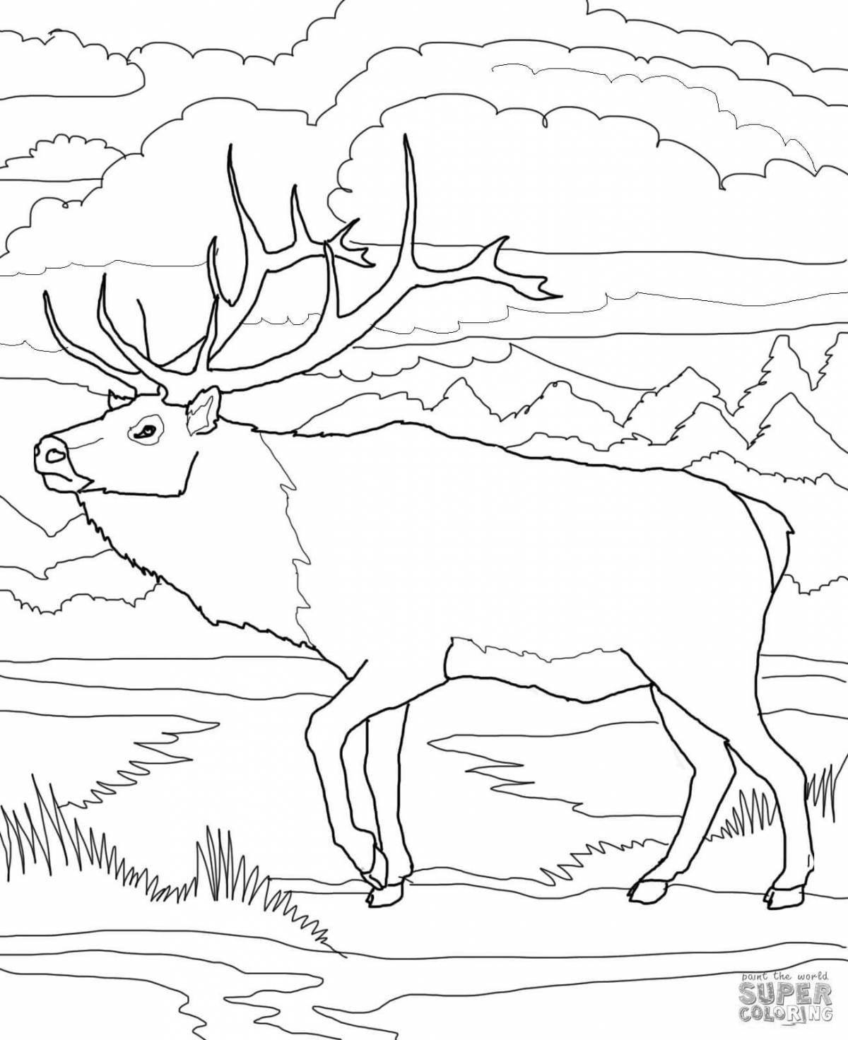 Magical northern animals coloring pages for kids