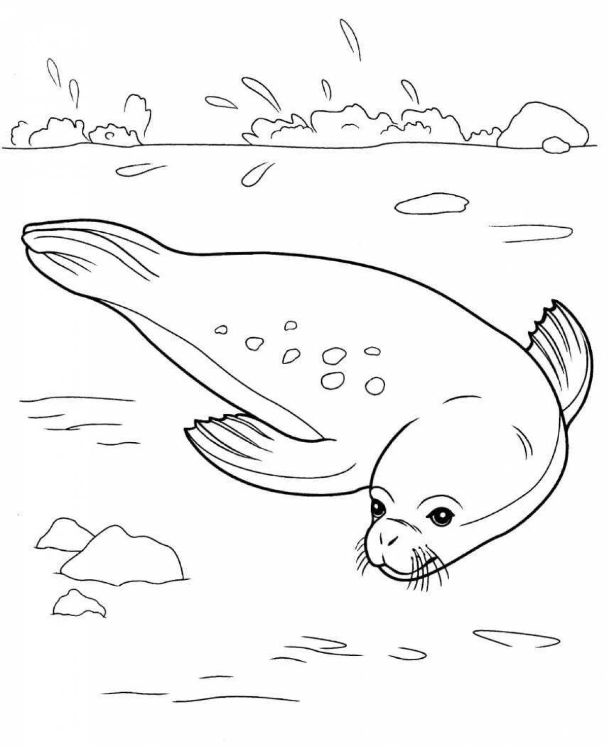 Funny northern animals coloring pages for kids