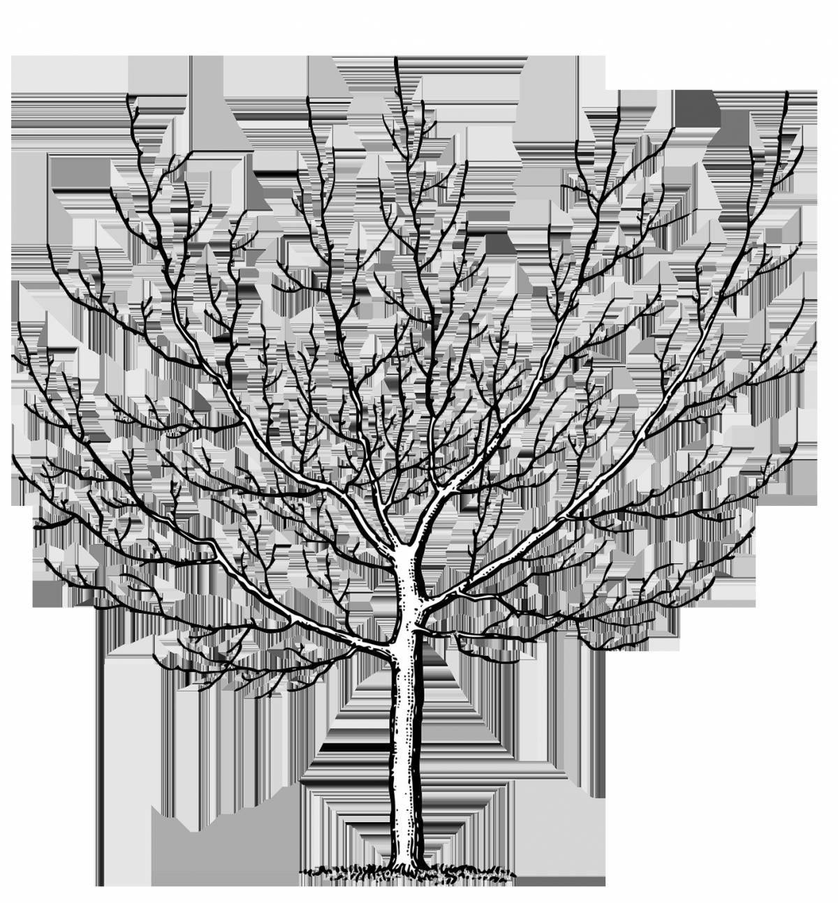 Coloring book beautiful branched tree
